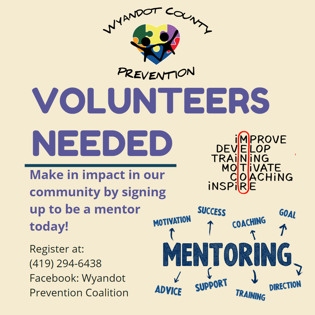Mentor Volunteers Needed