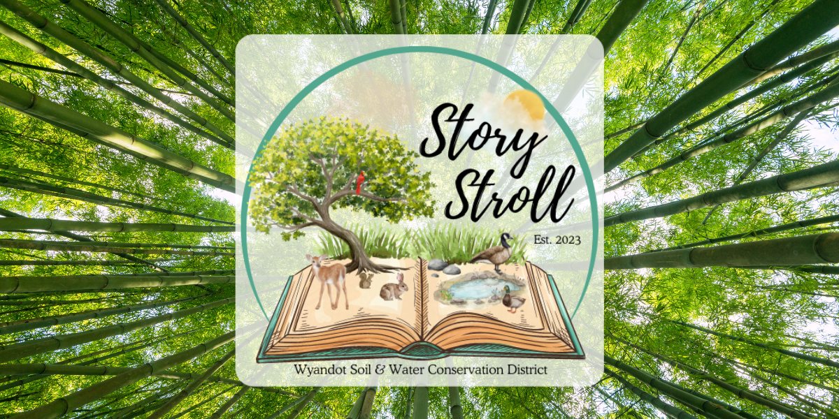 Story Stroll Cover small